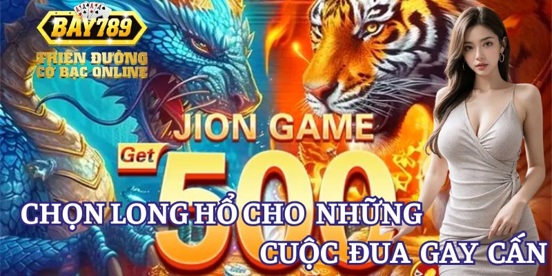 chon-long-ho-cho-nhung-cuoc-dua-gay-can-nhat