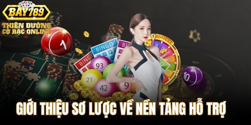 giai-thich-so-luoc-ve-nen-tang-ho-tro