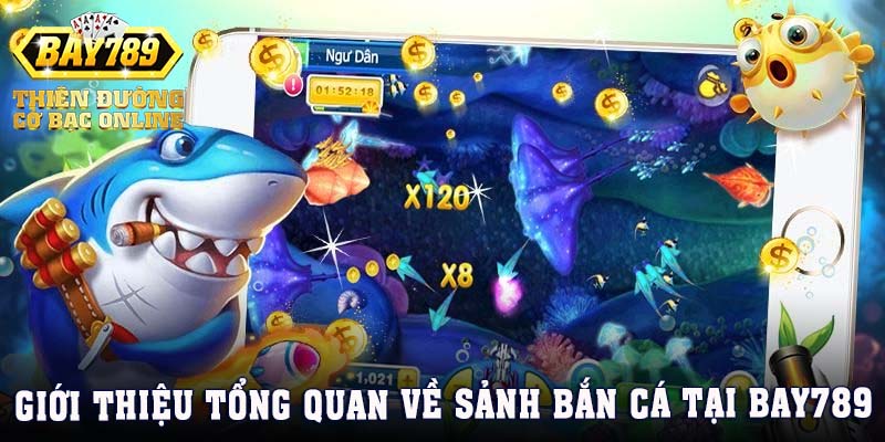 gioi-thieu-sanh-ban-ca-tai-bay789